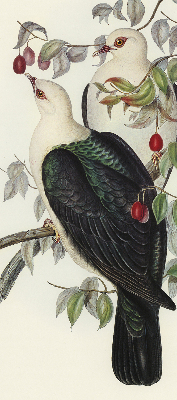 Fabric roller blind for window Birds on a branch