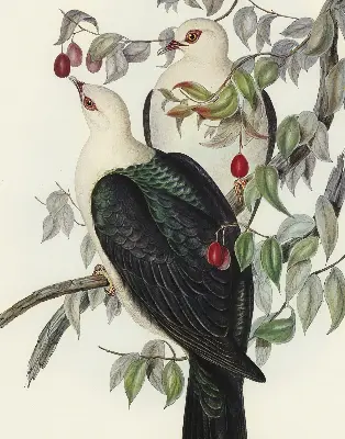 Fabric roller blind for window birds on a branch pattern