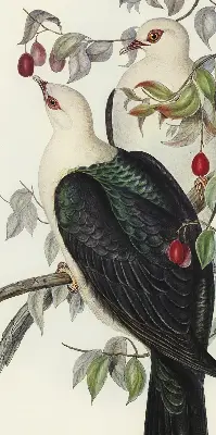 Fabric roller blind for window birds on a branch pattern