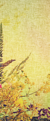 Fabric roller blind for window Plants