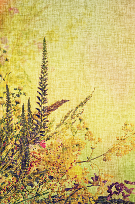 Fabric roller blind for window Plants