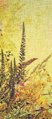 Fabric roller blind for window Plants