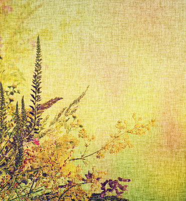 Fabric roller blind with plants pattern
