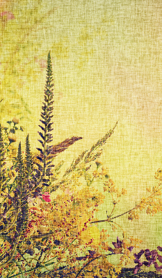 Fabric roller blind for window Plants