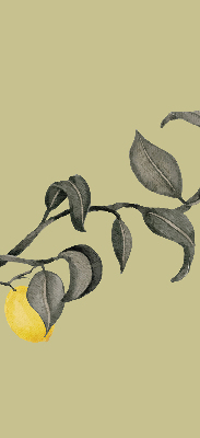 Blackout roller blind Lemons on the tree