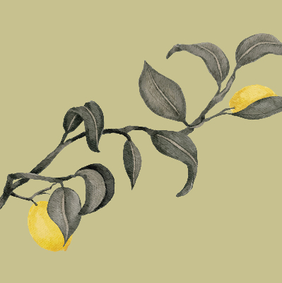 Blackout roller blind Lemons on the tree