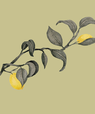 Blackout roller blind Lemons on the tree
