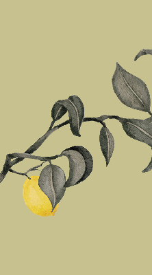 Blackout roller blind Lemons on the tree