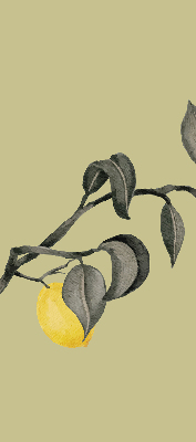 Blackout roller blind Lemons on the tree