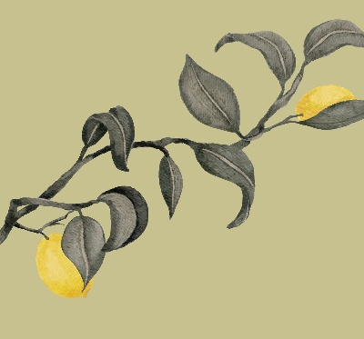 Blackout roller blind lemons on the tree pattern