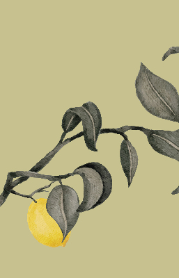 Blackout roller blind Lemons on the tree