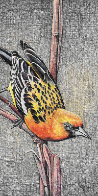 Blackout roller blind A bird on a branch
