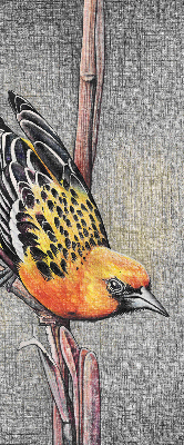 Blackout roller blind A bird on a branch