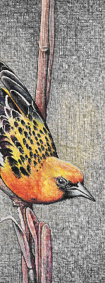 Blackout roller blind A bird on a branch