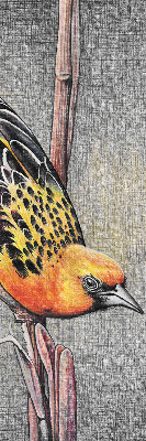 Blackout roller blind A bird on a branch