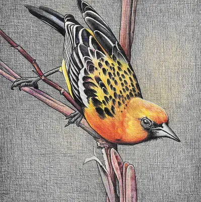 Blackout roller blind with a bird on a branch print
