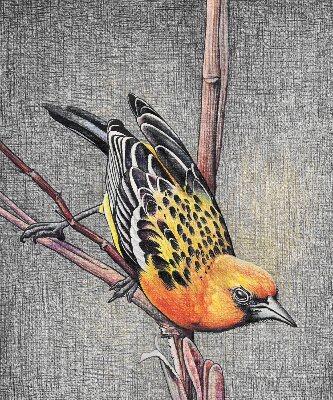 Blackout roller blind A bird on a branch