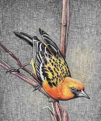 Blackout roller blind with a bird on a branch print