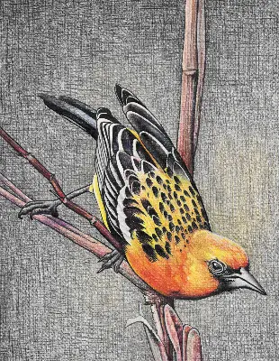 Blackout roller blind with a bird on a branch print