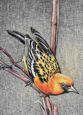Blackout roller blind with a bird on a branch print