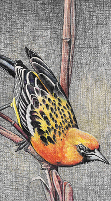 Blackout roller blind A bird on a branch