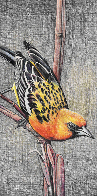 Blackout roller blind A bird on a branch