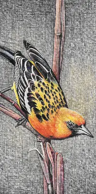 Blackout roller blind with a bird on a branch print