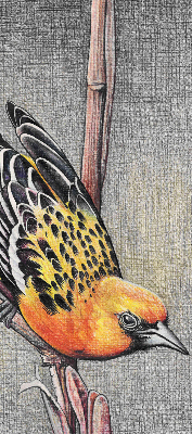 Blackout roller blind A bird on a branch