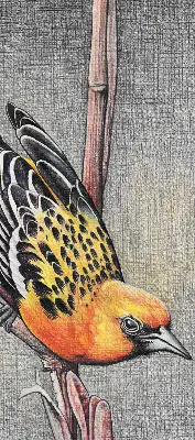 Blackout roller blind with a bird on a branch print
