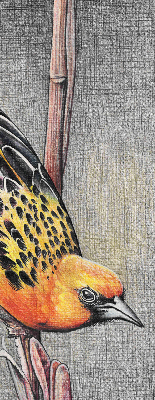 Blackout roller blind A bird on a branch