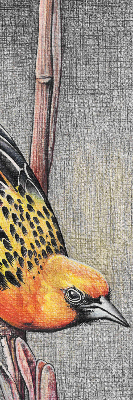 Blackout roller blind A bird on a branch
