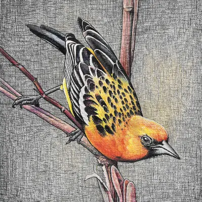 Blackout roller blind with a bird on a branch print