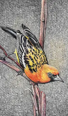 Blackout roller blind with a bird on a branch print
