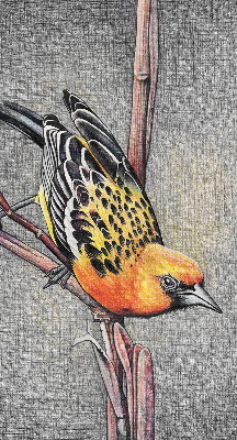 Blackout roller blind A bird on a branch