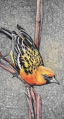 Blackout roller blind with a bird on a branch print