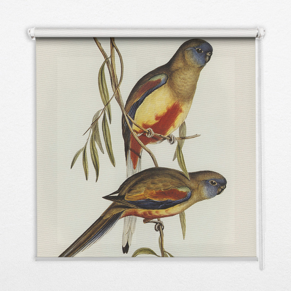 Blackout roller blind Two birds on a branch