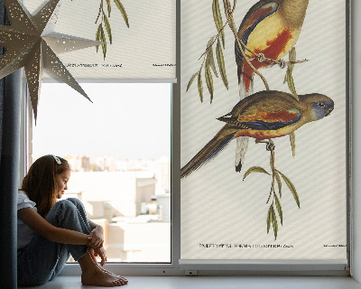 Blackout roller blind Two birds on a branch