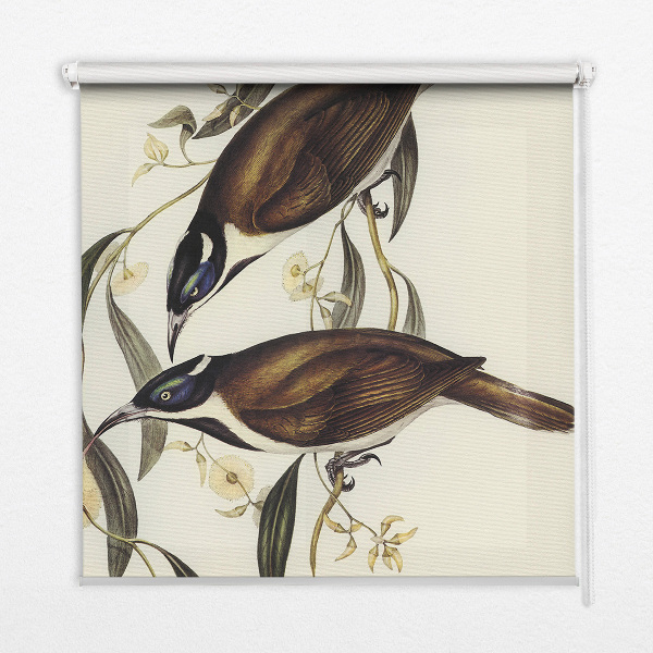 Blackout roller blind for window Birds on a tree