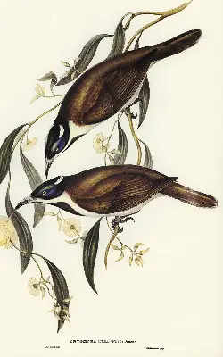 Blackout roller blind for window with birds on a tree pattern