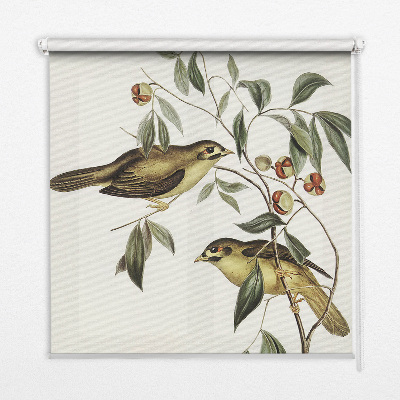 Blackout roller blind Birds on a tree