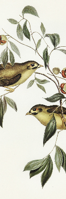 Blackout roller blind Birds on a tree
