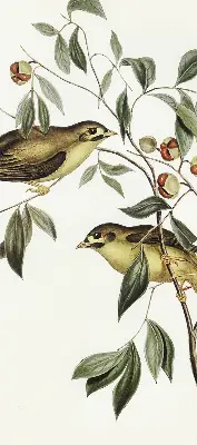 Blackout roller blind with a birds on a tree print