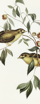 Blackout roller blind Birds on a tree