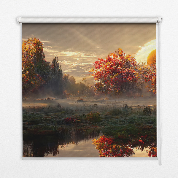 Blackout roller blind Sunset behind the trees