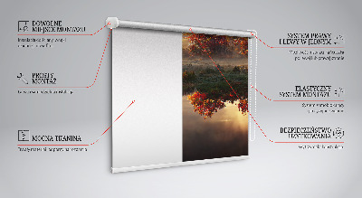 Blackout roller blind Sunset behind the trees