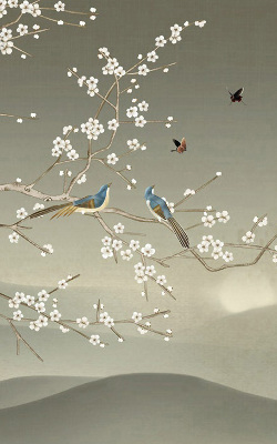Blackout roller blind for window Birds on a branch