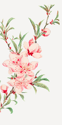 Blackout roller blind for window Pink flower