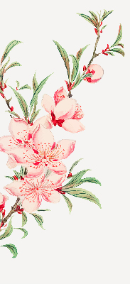 Blackout roller blind for window Pink flower