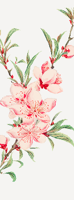 Blackout roller blind for window Pink flower