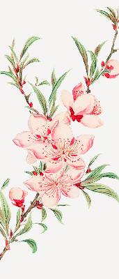 Blackout roller blind for window Pink flower